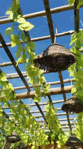 Bamboo pergola with green vines and woven hanging lamps under clear blue sky outdoor garden