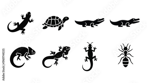 A collection of reptile and insect silhouettes displays a lizard turtle alligator chameleon and spider silhouette high quality professional detailed modern