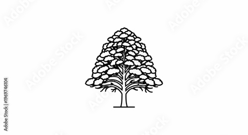 Stylized black and white outline of a conifer tree with dense foliage