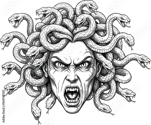 Medusa head, snake hair, mythological creature, monster face, black and white illustration, vector graphic
