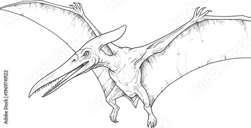 Flying Pterosaur, Ancient Reptile, Black and White Vector, Dinosaur Illustration, Prehistoric Animal