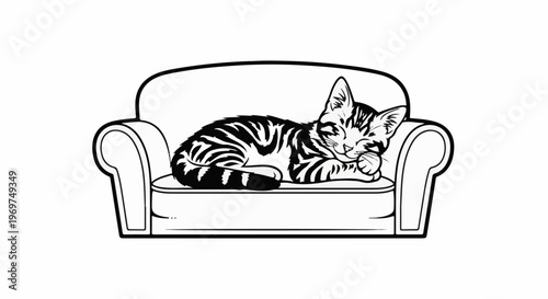 Tabby cat peacefully napping on a simple couch