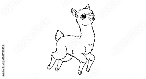 Cute baby llama line art, outline drawing, vector illustration