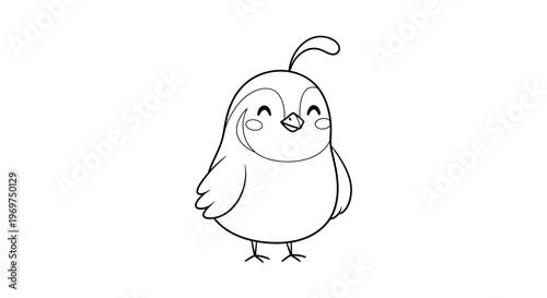 Cute cartoon quail bird illustration, line art, simple, isolated on white background
