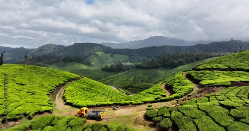 Wallpaper Mural Close-up Aerial view of Tea Plantation hill valley in Munnar, Kerala, India. Aerial view of a tea plantation in Munnar. The beautiful Western Ghats mountain range in Kerala Torontodigital.ca