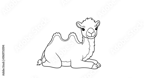 Cute Dromedary Camel Lying Down, Outline Drawing, White Background