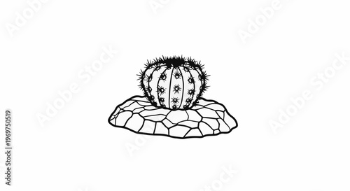 Stylized illustration of a round, spiky cactus plant on a stone base