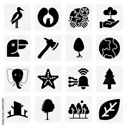 Habitat Restoration And Ecosystem Protection – Forest Regeneration, Coral Reefs, And Pollinator Safety For Nature Conservation Projects