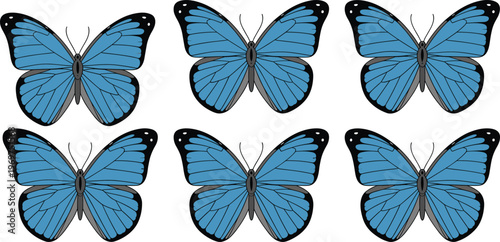 Cuadro en lienzo Beautiful blue morpho butterfly collection set featuring realistic wing patterns