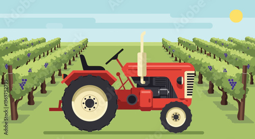 Red tractor in vineyard, harvesting grapes, agricultural machinery, sunny day