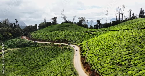 Wallpaper Mural Forward fly cinematic aerial view of rural road amidst Tea Plantation hill in Munnar, Kerala, India. Aerial view of a tea plantation in Munnar. The beautiful Western Ghats mountain range in Kerala Torontodigital.ca