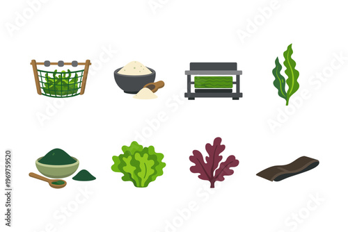 Seaweed Cultivation and Products