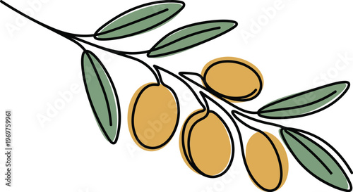 Argan tree branch. Modern single line art drawing. Continuous line drawing. Outline draw design color vector illustration.