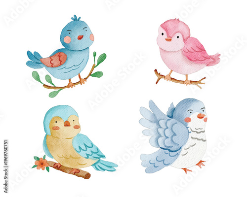 Cute Watercolor Bird Cartoon Illustration