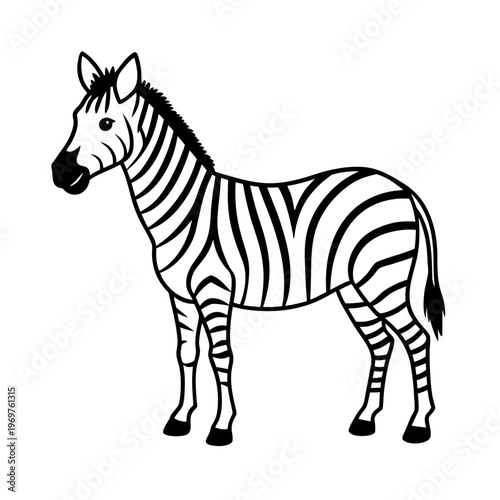 Zebra outline drawing vector graphic wild animal mammal striped equine savanna plains Africa nature