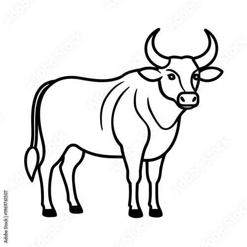 Bulls head horns livestock farm animal standing side view line art illustration