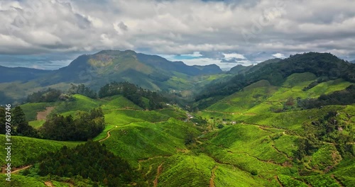 Wallpaper Mural Circling Aerial view of Tea Plantation hillS in Munnar, Kerala, India. Cinemati Aerial View of Munnar. Aerial view of a tea plantation in Munnar. The beautiful Western Ghats mountain range in Kerala Torontodigital.ca