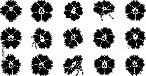 Black and white flowers in various stages of bloom floral white background petals