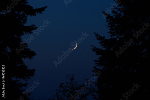 Fotografia Crescent young Moon with stars, planets and rural countryside tree silhouettes