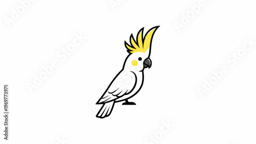 Cockatoo bird vector illustration isolated on white background