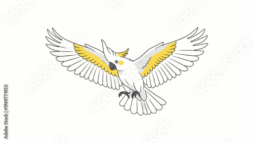 Sulphur-crested Cockatoo Flying Isolated on White Background