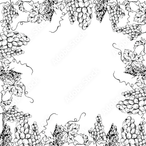 Botanical grapevine border frame with clustered grapes hanging over flowing tendrils and lush leaves. Isolated hand drawn ink vector illustration. Winery identity, subscription box design, bar menus