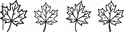 Maple leaf icons in hand drawn outline style representing autumn fall season and nature.