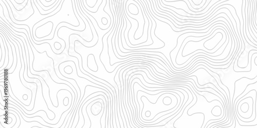 Abstract background vector. Abstract topographic contours map background. Abstract white pattern topography vector background. Black and white topography contour line map isolated on white background.