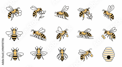 Honey bee illustration set with various flying and resting bees, collecting pollen from small white flowers. Detailed honey bee illustration collection shows different angles and actions,