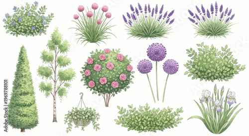 Beautifully Illustrated Garden Plant Collection Diverse Shrubs, Flowering Bushes, and Trees for Design