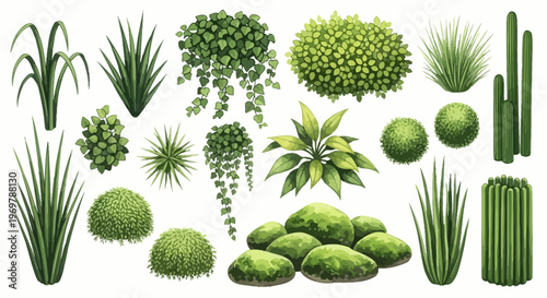 Diverse collection of green garden plants, various bushes, shrubs, and grass elements isolated for landscaping and architectural design