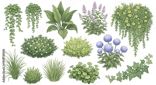 Botanical Garden Concept Diverse Illustrated Collection of Lush Greenery, Shrubs, and Hanging Plants Elements