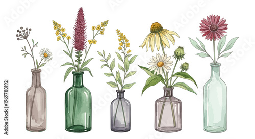 Watercolor Botanical Collection of Wildflowers in Vintage Glass Vases
