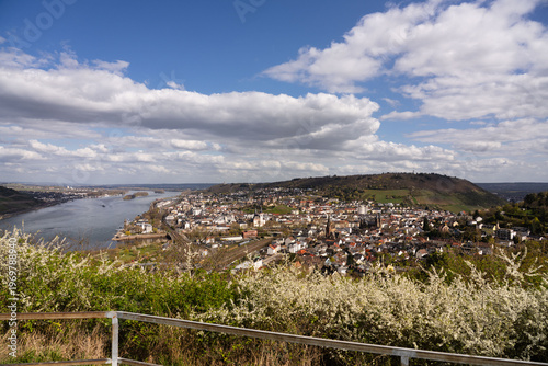 Wallpaper Mural Aussichtspunkt Elisenhöhe (Bingen) Torontodigital.ca