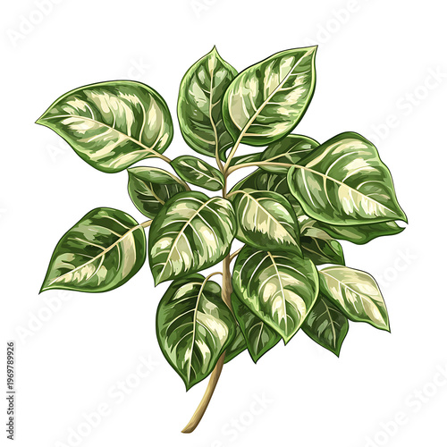 Exquisite Leafy Plant Masterpiece Showcase