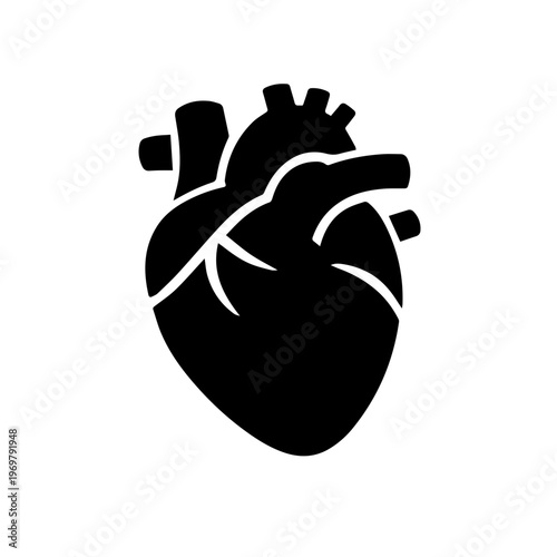 Heart Anatomy Icon