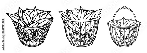 Black line art, loose leaf tea infuser basket, white background set with simple line art design featuring line art, illustrations, graphic resources with vector and design elements