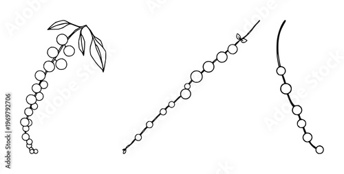 String of pearls plant set with black line art design featuring senecio rowleyanus, string of beads, succulent with houseplant and botanical illustration