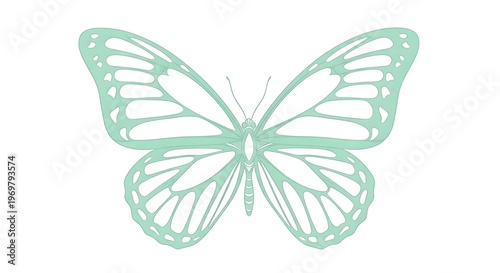Light Green Outline Butterfly Vector Illustration on White Background