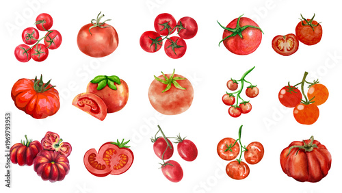 Tableau sur toile Collection of assorted fresh red tomatoes, showcasing various sizes and shapes i