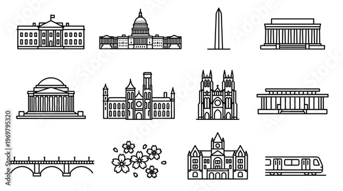 Washington DC skyline vector set in thin linear style featuring capitol building white house monument cherry blossoms and city landmarks for elegant travel tourism graphic design