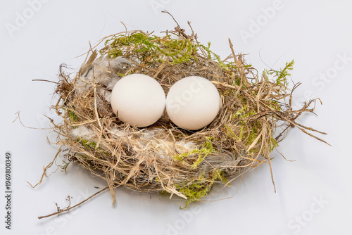 Close-up of a nest with two eggs inside