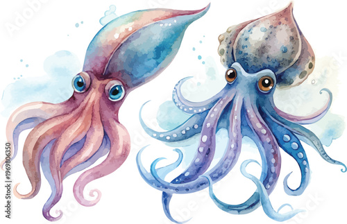 Squid Watercolor, Ocean Marine Life Art, Isolated Vector Clipart