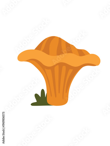 fresh chanterelle mushroom realistic vector illustration natural design