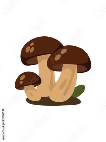 cute white forest mushroom cartoon vector illustration design