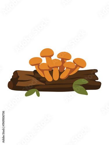 wild honey mushrooms on forest tree detailed vector illustration set