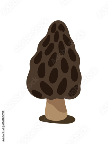 wild forest mushroom realistic vector illustration natural design