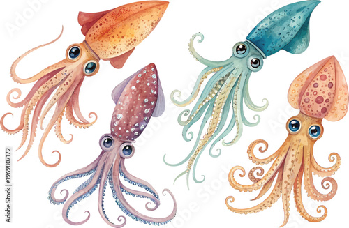 set of Watercolor Squid, Deep Sea Creature Clipart, vector illustration isolated on white background
