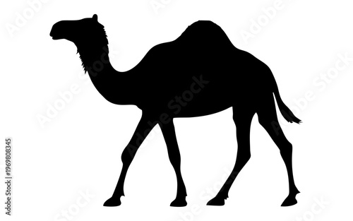 Vector Illustration of Black Camel Silhouette on White Background