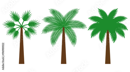 Three stylized palm trees with green fronds and brown trunks, depicted in a simple, graphic illustration style on a white background.